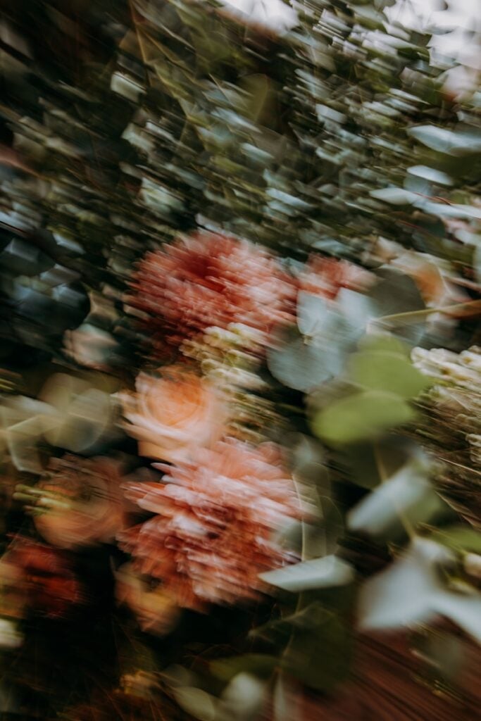 a blurry photo of a bunch of flowers